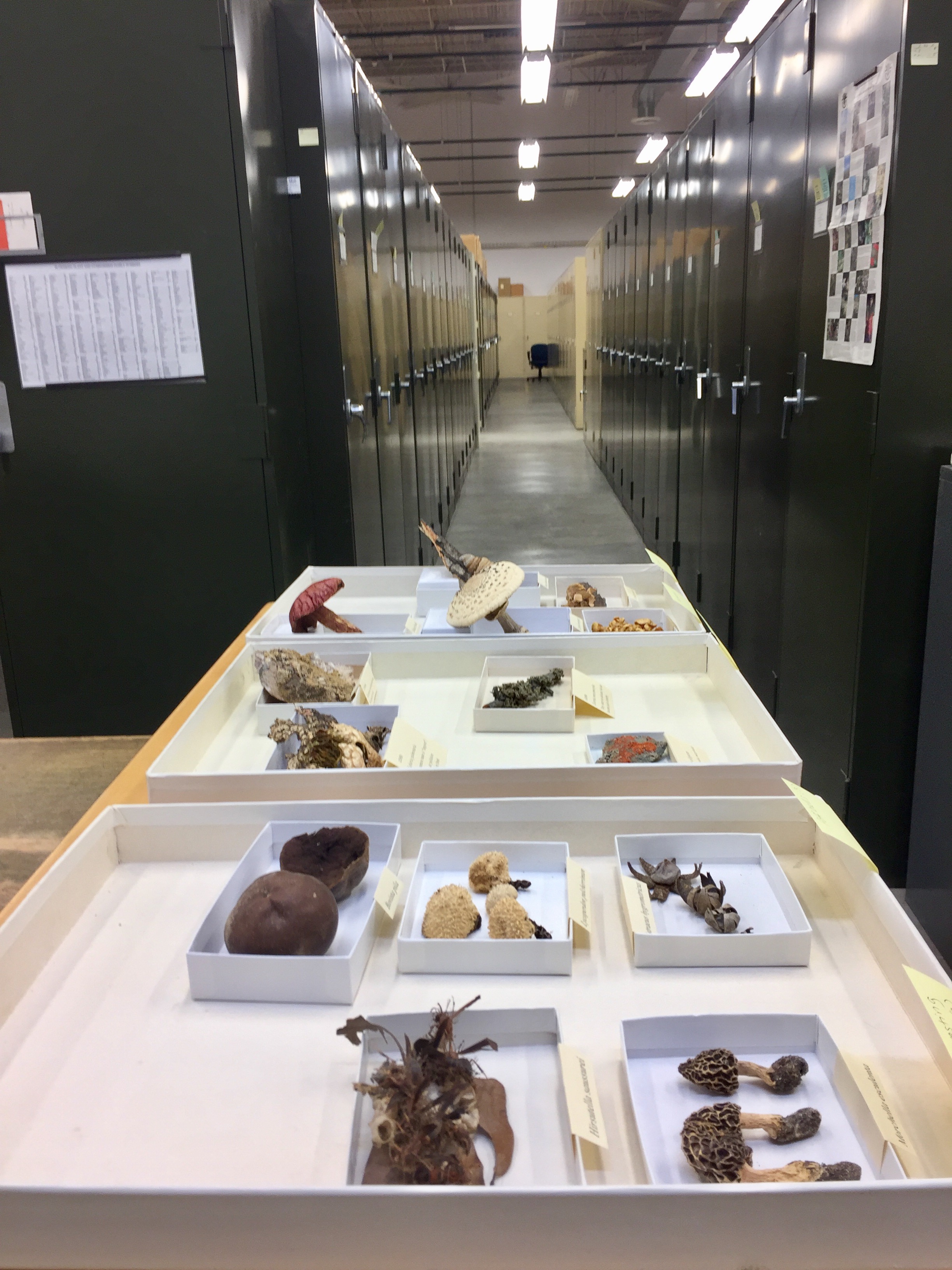 Inaugural Digital Data in Biodiversity Research Conference iDigBio